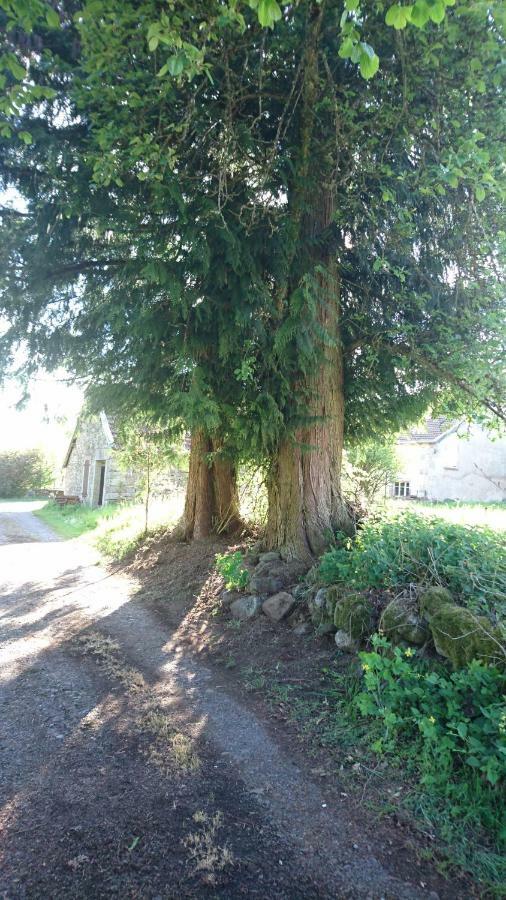 Вилла Ferme De La Grange Du Bas Saint-Bresson Экстерьер фото
